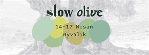 Slow olive etkinliği